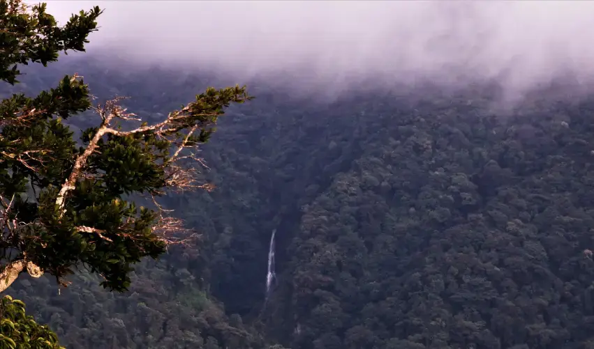 Viaje viaje-centroamerica-san-jose-monteverde-costa-rica-4654