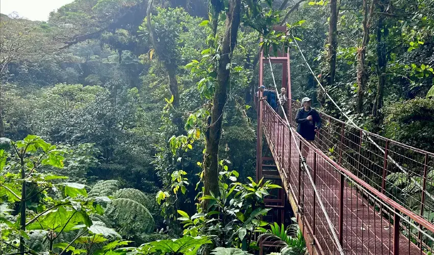 Viaje viaje-centroamerica-san-jose-monteverde-costa-rica-4654