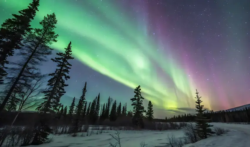 Viaje alaska-anchorage-fairbanks-5514